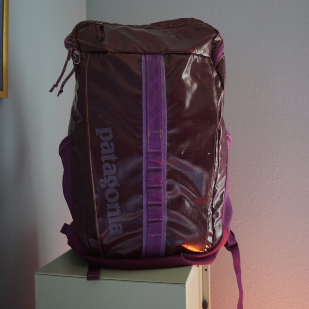 Patagonia Black Hole Backpack